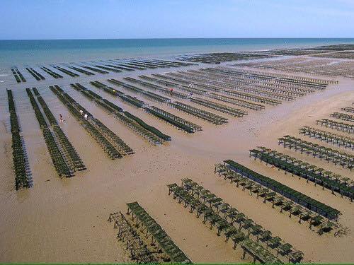 Les Pommiers Duplex Cosy Tout Confort Dans Maison Neuve Avec Terrasse Entree Independante 5 Mn De Bayeux Et 10 Mn Plage Du Debarquement Sommervieu Luaran gambar