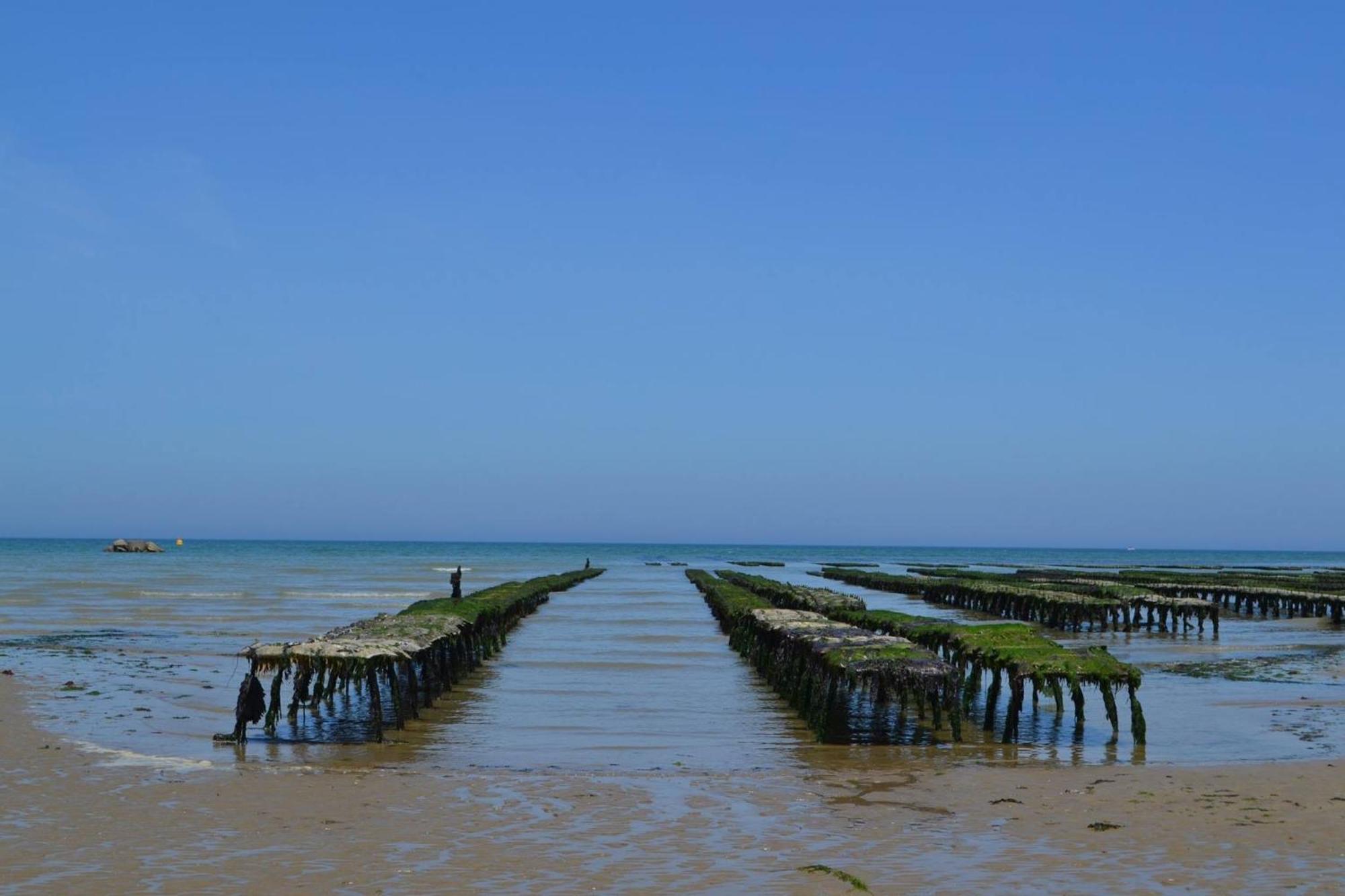 Les Pommiers Duplex Cosy Tout Confort Dans Maison Neuve Avec Terrasse Entree Independante 5 Mn De Bayeux Et 10 Mn Plage Du Debarquement Sommervieu Luaran gambar